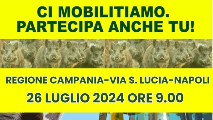 EMERGENZA CINGHIALI, DOMANI SIT-IN COLDIRETTI DAVANTI ALLA REGIONE CAMPANIA A SANTA LUCIA