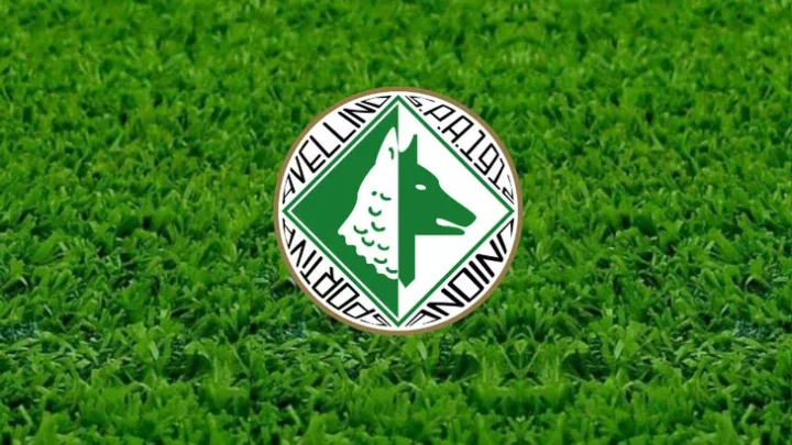 SOLO  GIOVANI  DI  QUALITA’  AL  NUOVO  AVELLINO