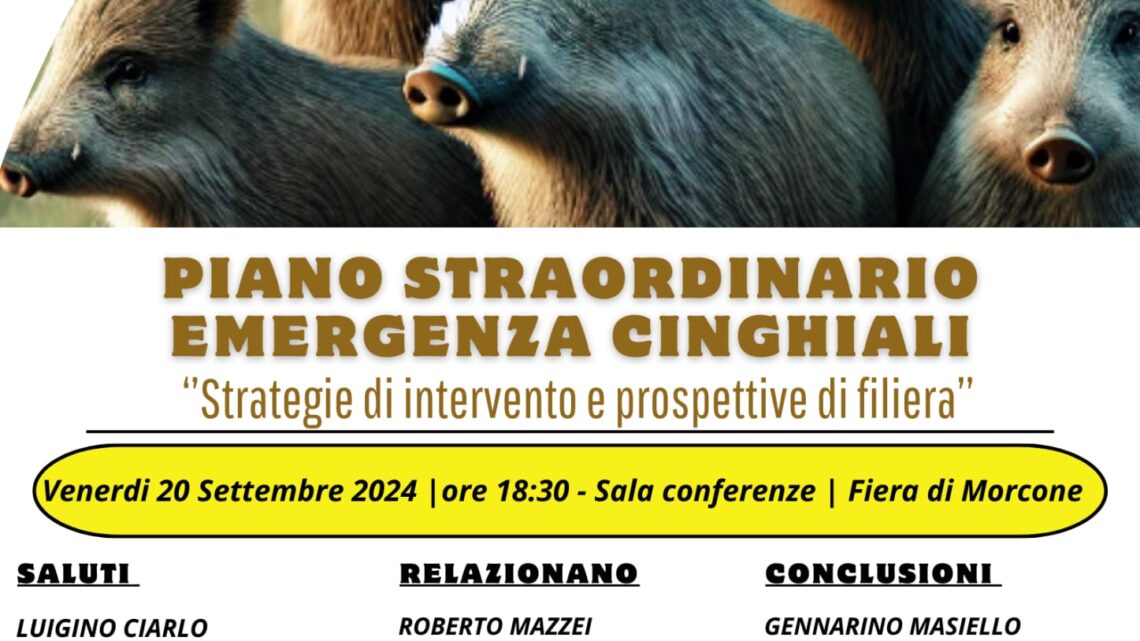 Lotta ai cinghiali: Strategie di intervento e prospettive di filiera. Se ne discute domani a Morcone 