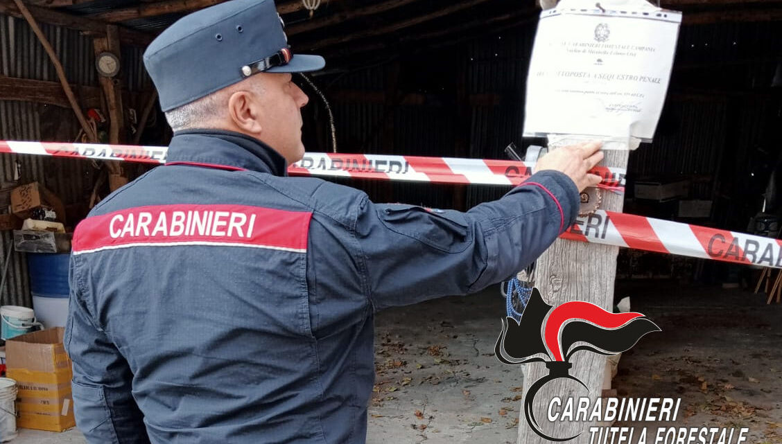 I CARABINIERI FORESTALI SEQUESTRANO UN OPIFICIO E CHIUDONO UN’ OFFICINA ABUSIVA I CARABINIERI FORESTALI SEQUESTRANO UN OPIFICIO E CHIUDONO UN’ OFFICINA ABUSIVA