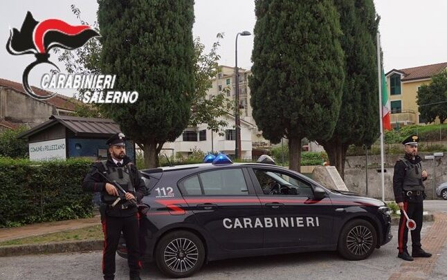 ROCCAPIEMONTE E PELLEZZANO: SERVIZIO STRAORDINARIO DI CONTROLLO DEL TERRITORIO