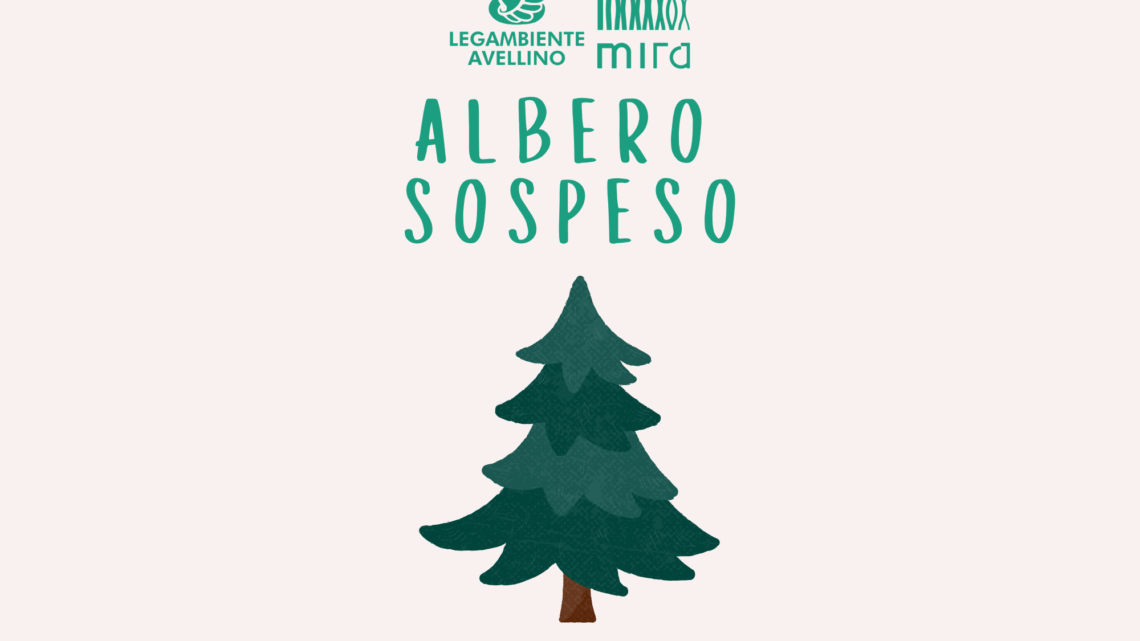 Legambiente Avellino – Al via l’Albero Sospeso, l’iniziativa per salvare gli alberi di natale inutilizzati