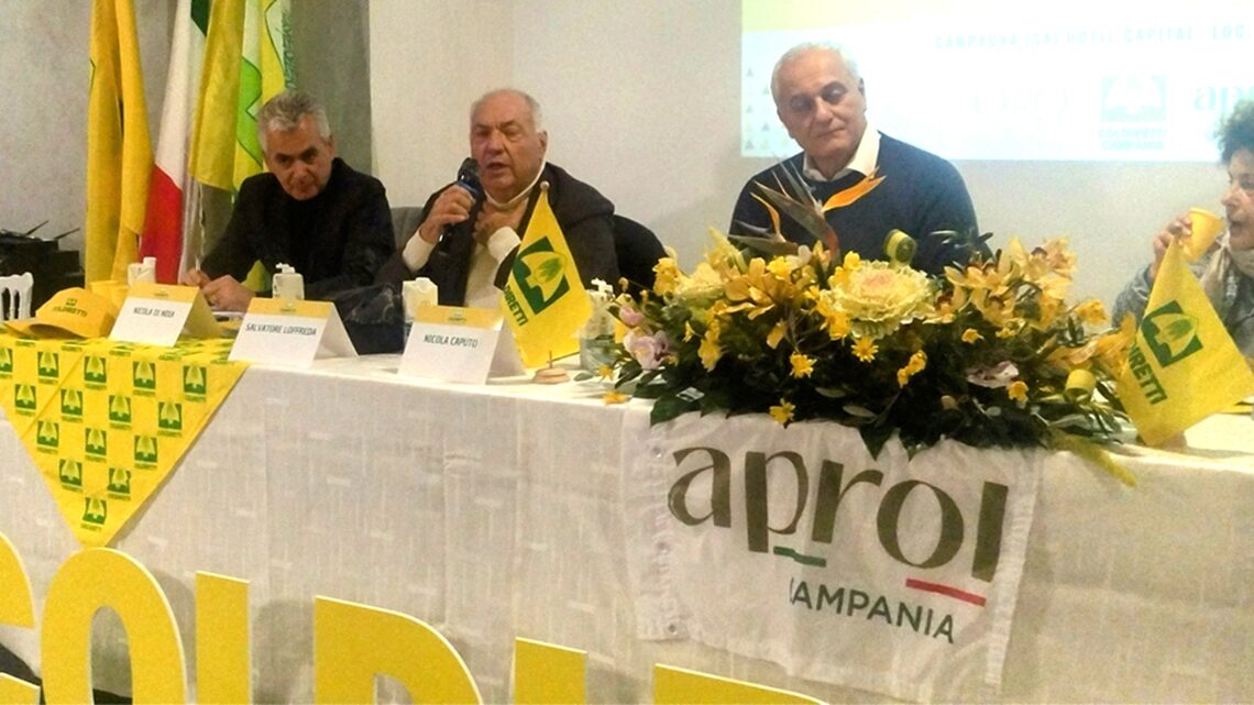 L’olio della Campania punta in alto: presentato il piano olivicolo regionale L’olio della Campania punta in alto: presentato il piano olivicolo regionale