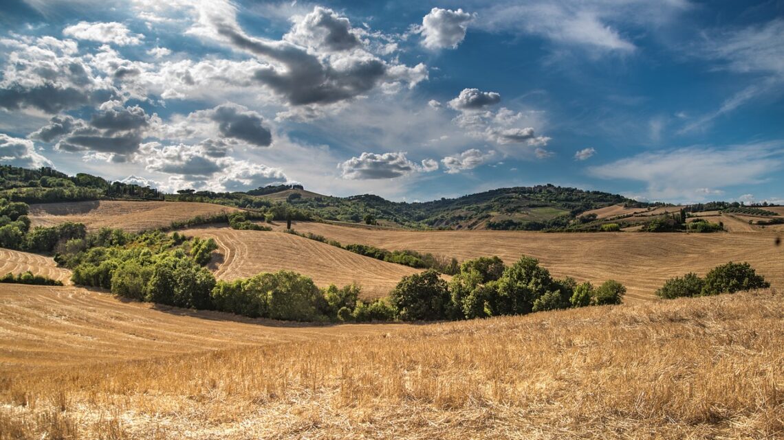 REGIONE CAMPANIA – Avviso pubblico per la concessione di un finanziamento a favore delle Micro, Piccole e Medie imprese