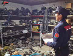SIRIGNANO (AV) – CAMPAGNA CONTROLLI AUTODEMOLITORI. I CARABINIERI SEQUESTRANO UN’AZIENDA E DENUNCIANO IL TITOLARE PER VIOLAZIONI AMBIENTALI SIRIGNANO (AV) – CAMPAGNA CONTROLLI AUTODEMOLITORI. I CARABINIERI SEQUESTRANO UN’AZIENDA E DENUNCIANO IL TITOLARE PER VIOLAZIONI AMBIENTALI