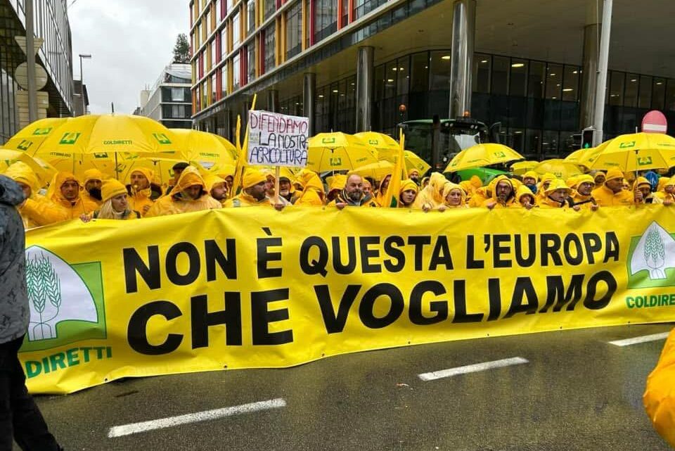 GLI AGRICOLTORI COLDIRETTI DELLA CAMPANIA IN MARCIA VERSO PARMA, DOMANI MANIFESTAZIONE GLI AGRICOLTORI COLDIRETTI DELLA CAMPANIA IN MARCIA VERSO PARMA, DOMANI MANIFESTAZIONE