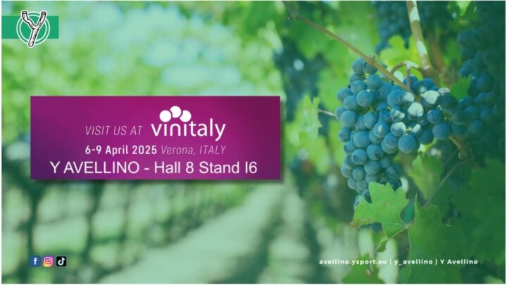 Y Avellino al Vinitaly 2025