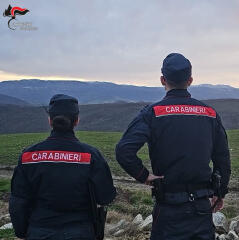 Vallo di Lauro (AV): I Carabinieri denunciano due persone per abusivismo edilizio e gestione illecita di rifiuti