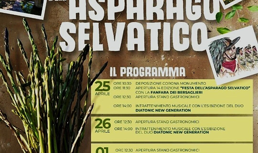 Festa dell’Asparago Selvatico: Roscigno si Prepara a Celebrarne il Gusto