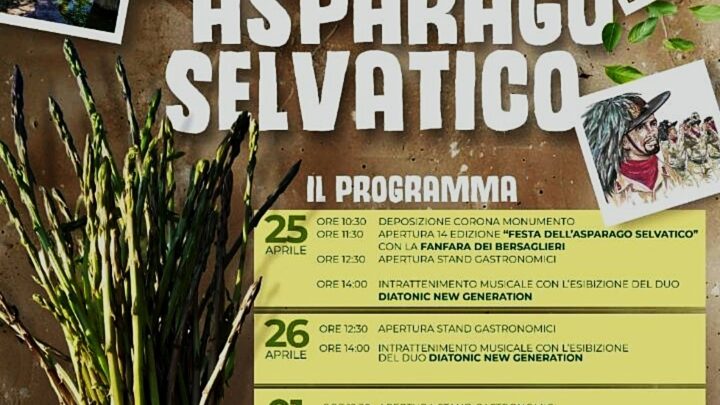 Festa dell’Asparago Selvatico: Roscigno si Prepara a Celebrarne il Gusto