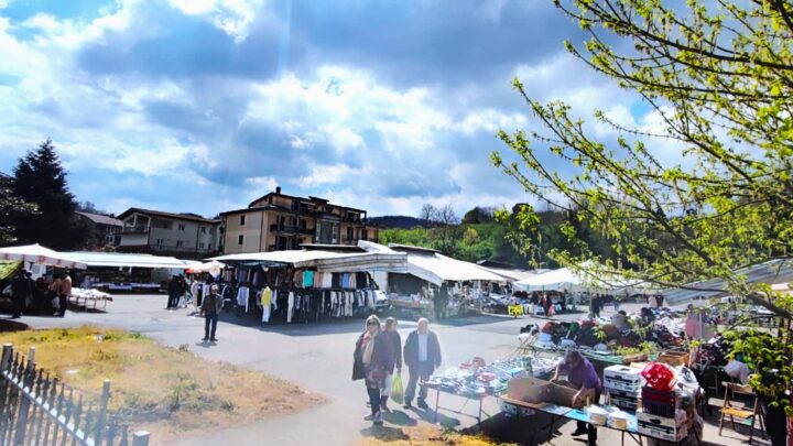 Scopri il mercato della domenica: freschezza a Contrada(AV)