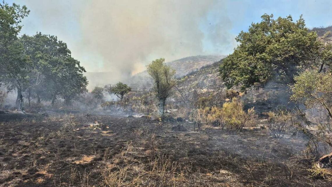 La Moltiplicazione degli Incendi: Canadair in Azione sulle Colline di Caserta