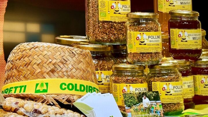 GIORNATA SICUREZZA ALIMENTARE: COLDIRETTI, NEL 2025 UN ALLARME AL GIORNO