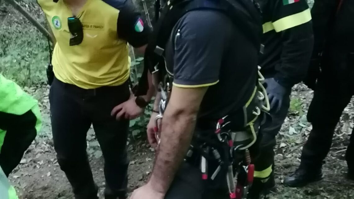 Concluse con successo le operazioni di ricerca di una persona anziana scomparsa nell’Avellinese