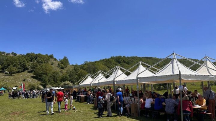 Sassano: 25ª Festa della Valle delle Orchidee, un successo da ricordare