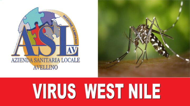 Circolazione del Virus West Nile – Interventi di disinfestazione su tutto il territorio