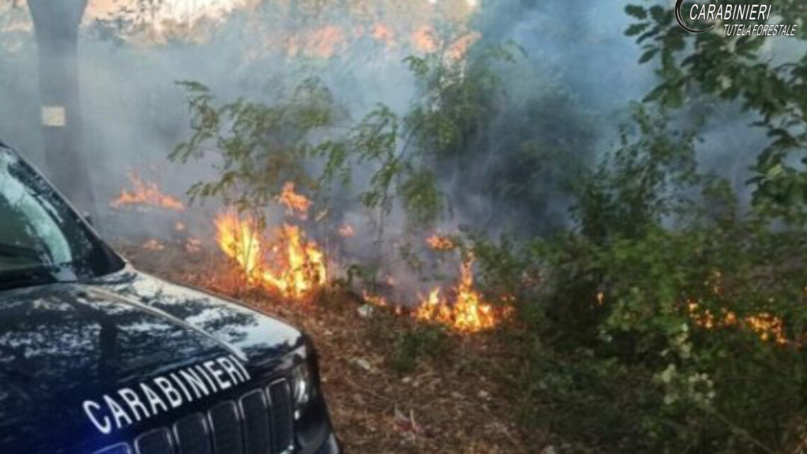ABBRUCIAMENTI ILLECITI IN IRPINIA: DENUNCIATE QUATTRO PERSONE DAI CARABINIERI FORESTALI