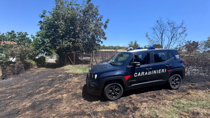 INCENDIO A SAVIGNANO IRPINO, DOMATO ROGO SU TERRENO PRIVATO: NESSUN FERITO