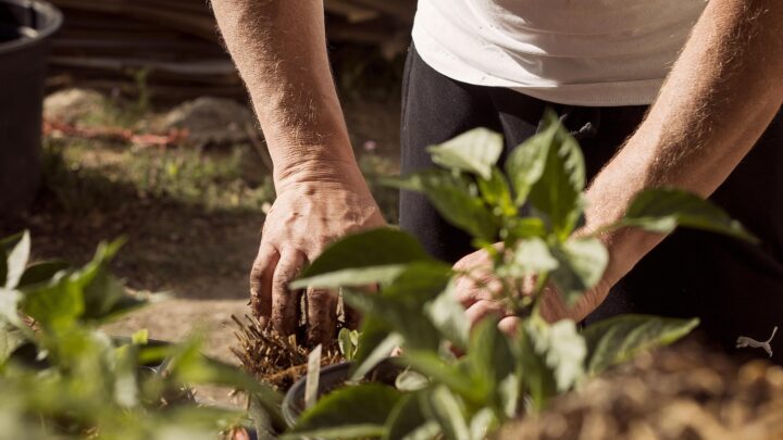Terra dei Fuochi, pene più dure per chi inquina e 15 milioni per le bonifiche: approvato il decreto legge