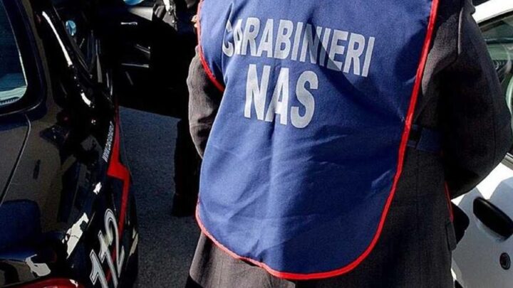 Blitz dei carabinieri tra ristoranti di Torre del Greco e Quartieri Spagnoli: sequestri, sanzioni e multe per irregolarità igieniche e sicurezza sul lavoro