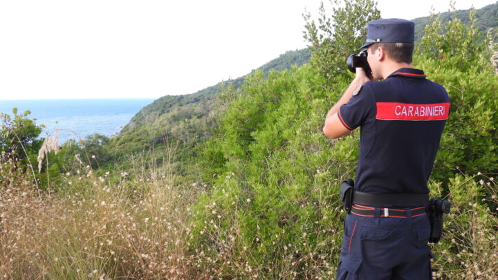Ferragosto Sicuro nel Parco del Cilento: Intensificati i Controlli dei Carabinieri Forestali
