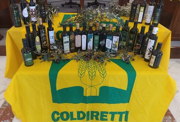 Dazi USA sull’agroalimentare italiano, Coldiretti e Filiera Italia denunciano svantaggio strutturale per l’agricoltura