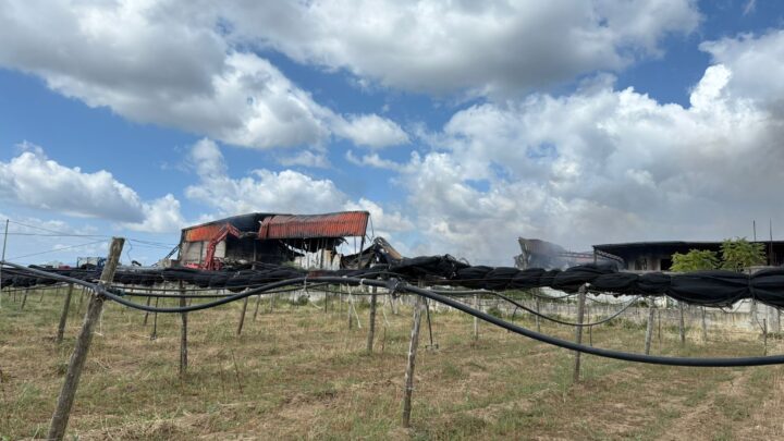 Emergenza ambientale a Teano e Riardo: Coldiretti Caserta al fianco degli agricoltori dopo il rogo dei rifiuti