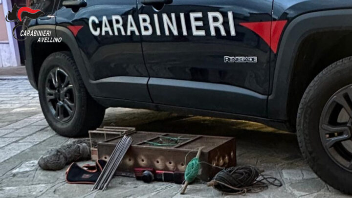 Bracconaggio a Vallata: denunciato 60enne di Villaricca, sequestrati otto cardellini