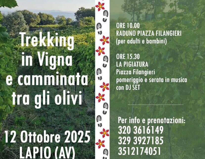 Ritorna “Trekking in Vigna e Camminata tra gli Olivi”: a Lapio il viaggio d’autunno tra natura, vino e tradizione