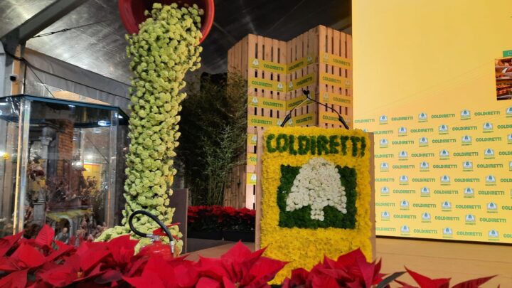 A Pompei il Congresso nazionale del Fiore: la capitale italiana del florovivaismo tra eventi, innovazione e arte