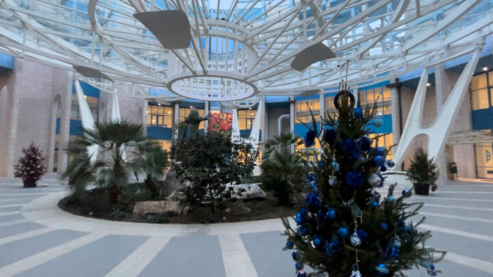 Pronti all’addobbo nella piazza centrale della Città ospedaliera gli alberi della prevenzione, il messaggio di solidarietà che va oltre il Natale