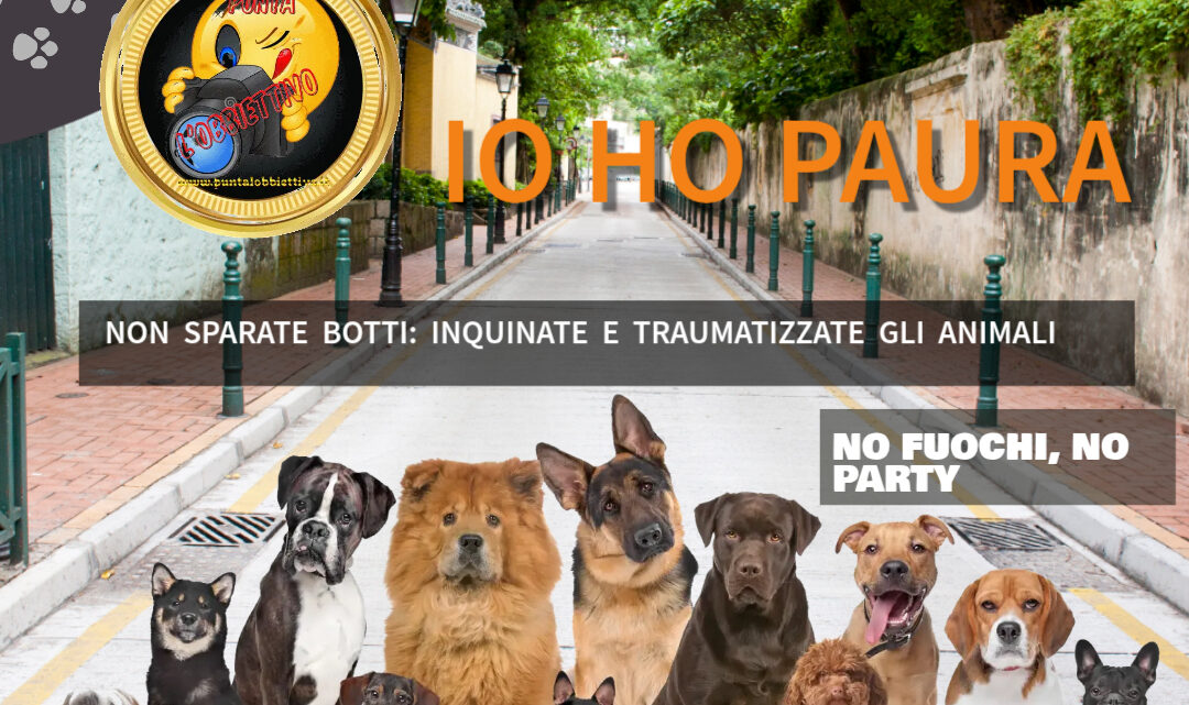 Capodanno in Sicurezza per Cani e Gatti: I Consigli