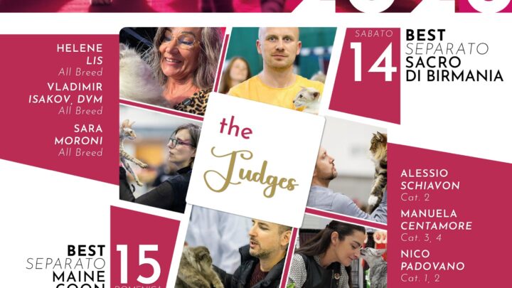 Paestum Cat Show – Love Edition 2026: quando l’amore ha le fusa