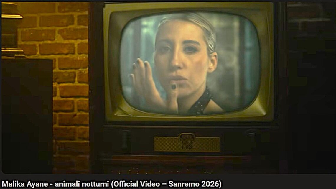 Malika Ayane illumina la notte di Sanremo 2026: “Animali Notturni”, l’inno all’amore che si sceglie Malika Ayane illumina la notte di Sanremo 2026: “Animali Notturni”, l’inno all’amore che si sceglie