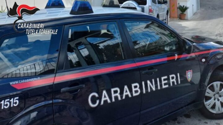 Veleni nel Sarno: scoperta condotta abusiva in una conceria di Serino