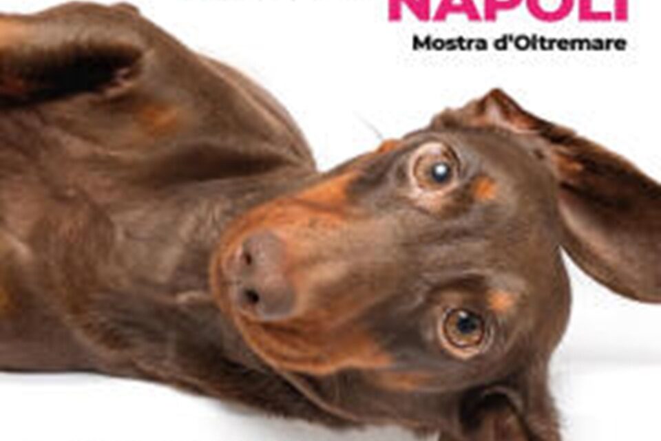 Quattrozampeinfiera Napoli 2026: due giorni imperdibili per cani, gatti e i loro umani