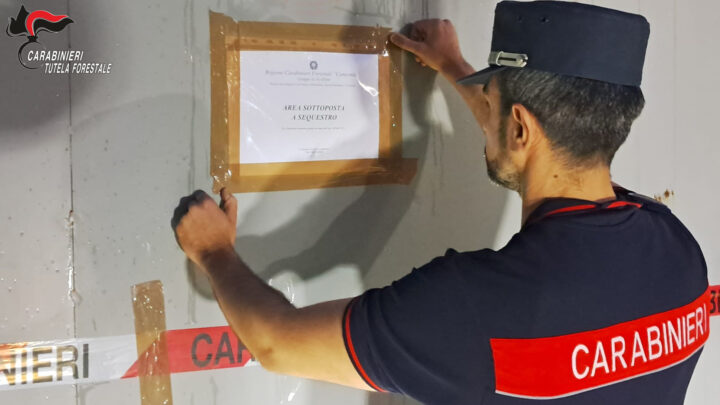 Montoro, sequestrata azienda nel mirino dei Carabinieri Forestali: denunciato imprenditore