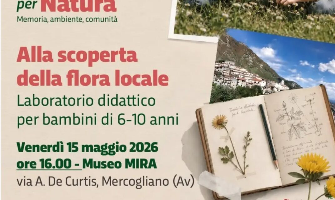 Mercogliano per Natura, al museo MIRA un laboratorio dedicato ai bambini Mercogliano per Natura, al museo MIRA un laboratorio dedicato ai bambini