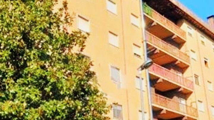 Rione Parco, Sos alberi: Legambiente Avellino ferma le motoseghe. “Serve scienza, non paura”