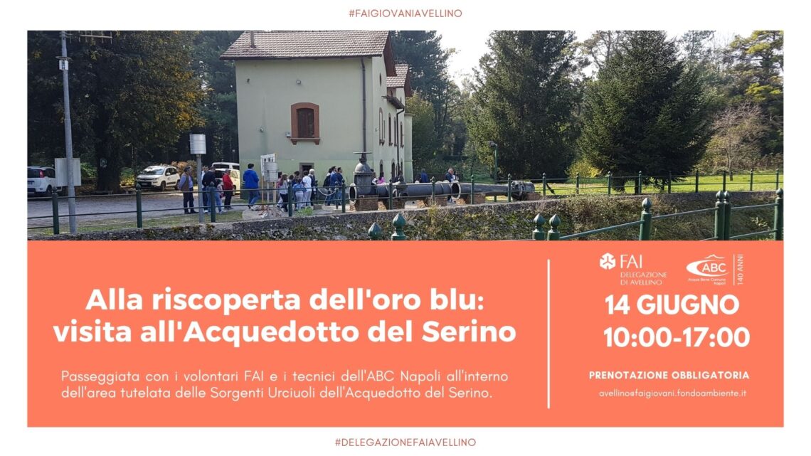 Alla scoperta dell’oro blu d’Irpinia: il FAI Giovani apre le porte delle Sorgenti Urciuoli Alla scoperta dell’oro blu d’Irpinia: il FAI Giovani apre le porte delle Sorgenti Urciuoli