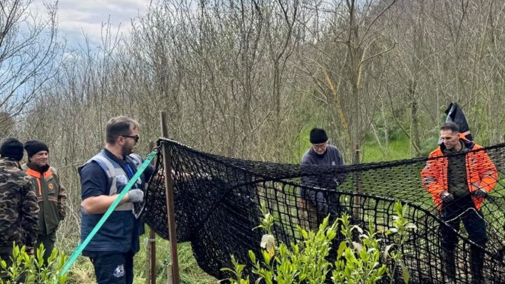 Emergenza cinghiali in Irpinia: oltre 60 interventi dell’Asl per la sicurezza del territorio