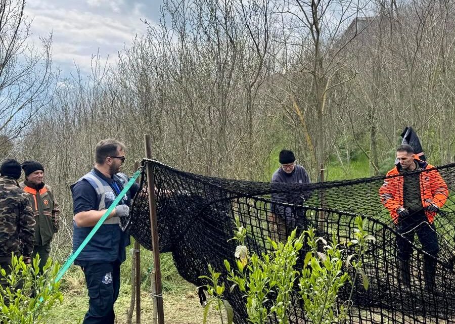 Emergenza cinghiali in Irpinia: oltre 60 interventi dell’Asl per la sicurezza del territorio