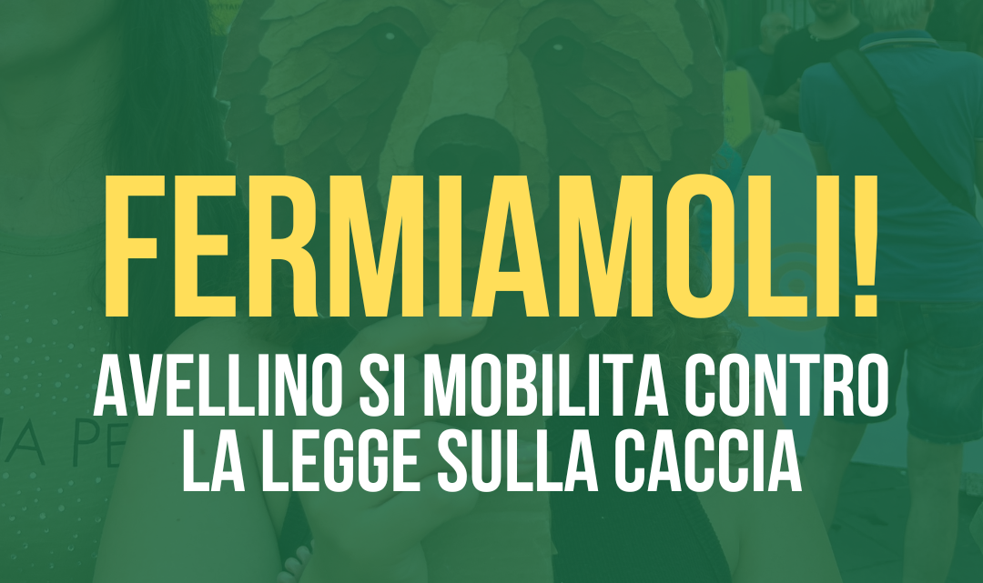 DDL Caccia, Legambiente Avellino chiama alla mobilitazione: presidio il 15 luglio DDL Caccia, Legambiente Avellino chiama alla mobilitazione: presidio il 15 luglio