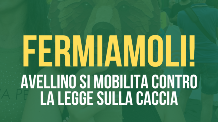 DDL Caccia, Legambiente Avellino chiama alla mobilitazione: presidio il 15 luglio