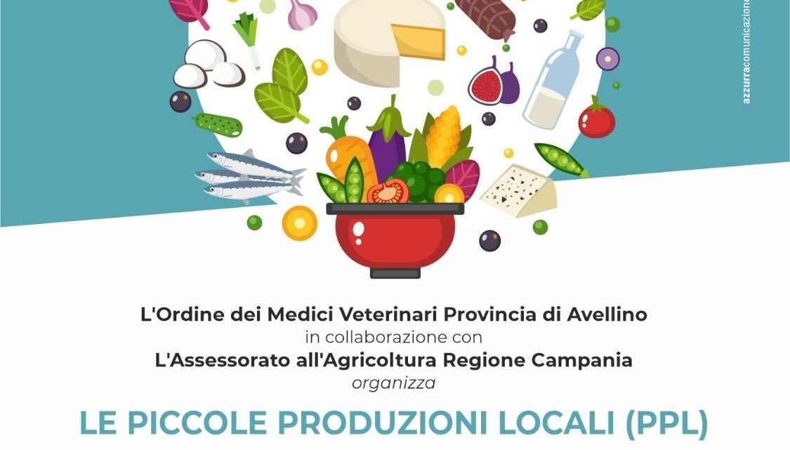 LE PICCOLE PRODUZIONI LOCALI Tradizione, storia e cultura dell’Irpinia raccontate dai produttori LE PICCOLE PRODUZIONI LOCALI Tradizione, storia e cultura dell’Irpinia raccontate dai produttori