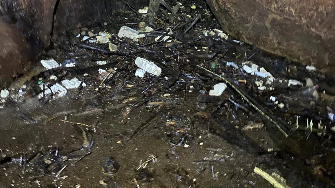 Bussento, la Regione avvia il percorso per risolvere le criticità ambientali dell’inghiottitoio “La Rupe” Bussento, la Regione avvia il percorso per risolvere le criticità ambientali dell’inghiottitoio “La Rupe”