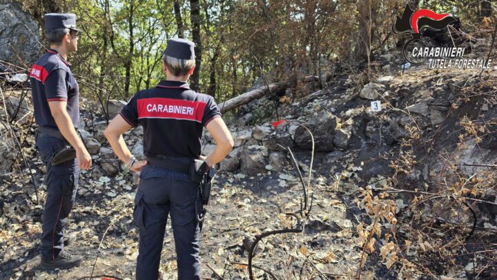 Indagini e prevenzione incendi in Irpinia: i Carabinieri Forestali in azione a Greci