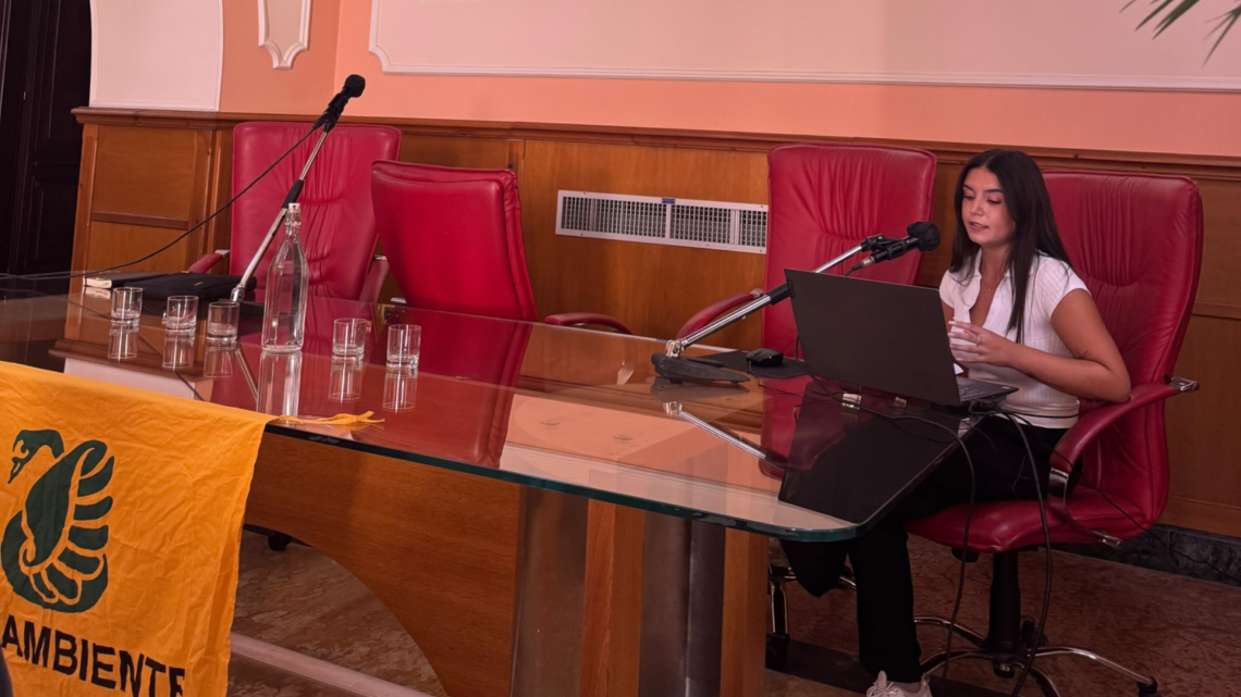 Mobilità a Avellino: per 8 cittadini su 10 la svolta sostenibile è frenata dalla mancanza di mezzi efficienti Mobilità a Avellino: per 8 cittadini su 10 la svolta sostenibile è frenata dalla mancanza di mezzi efficienti